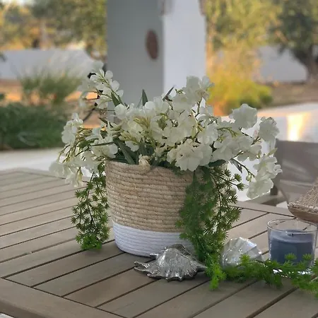 Appartement Chrisantakis Appartments *