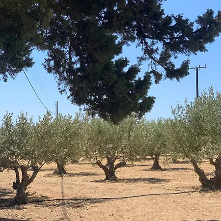 Chrisantakis Appartments Appartement