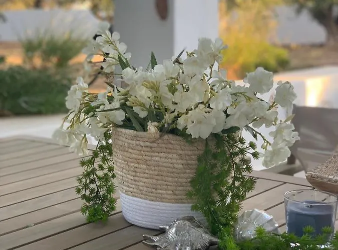 Διαμέρισμα Chrisantakis Appartments *