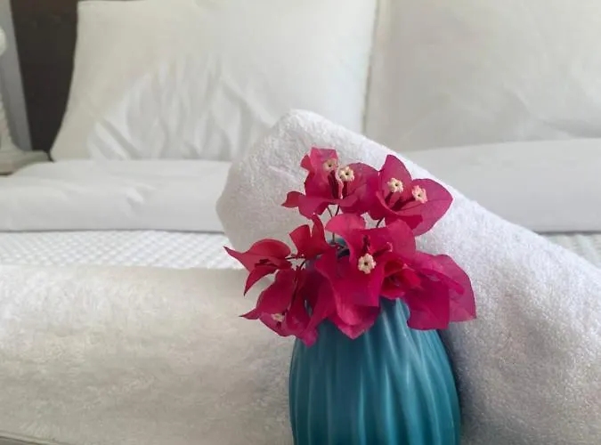 Διαμέρισμα Chrisantakis Appartments Δρυός