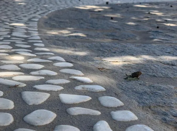 Chrisantakis Appartments *