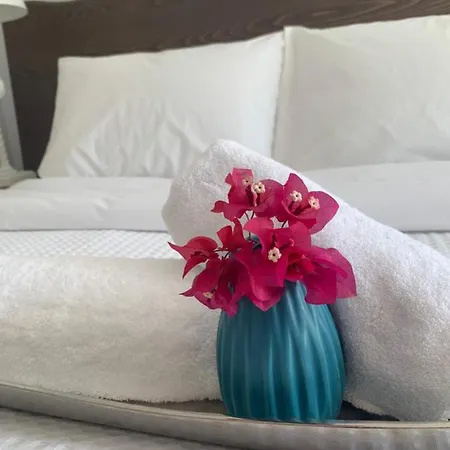 아파트 Chrisantakis Appartments 드리오스