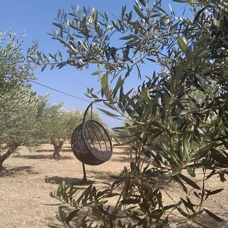 아파트 Chrisantakis Appartments 드리오스