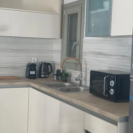 아파트 Chrisantakis Appartments 드리오스