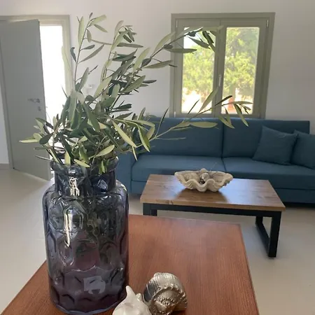 아파트 Chrisantakis Appartments 드리오스