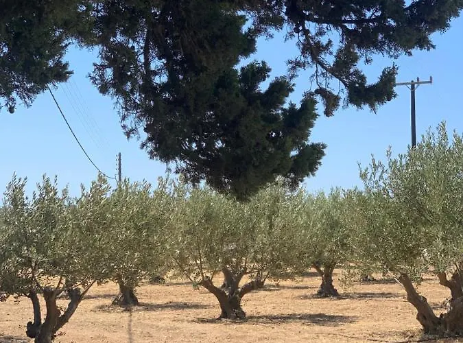 Chrisantakis Appartments Apartment